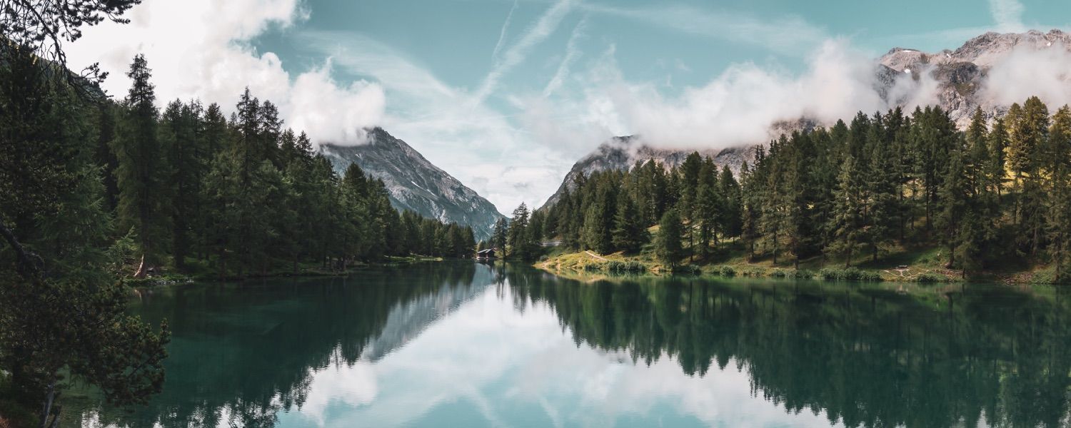 Donating Revenue to Fight Climate Change